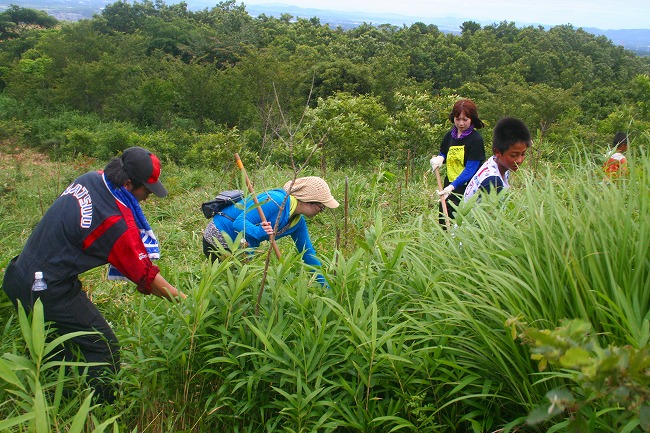 20150726_第8回下草刈り_48.jpg